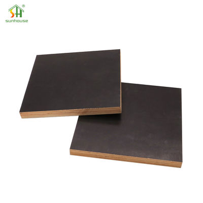 Compensato melaminico resistente alle termiti Pannello di compensato melaminico per uso interno ed esterno